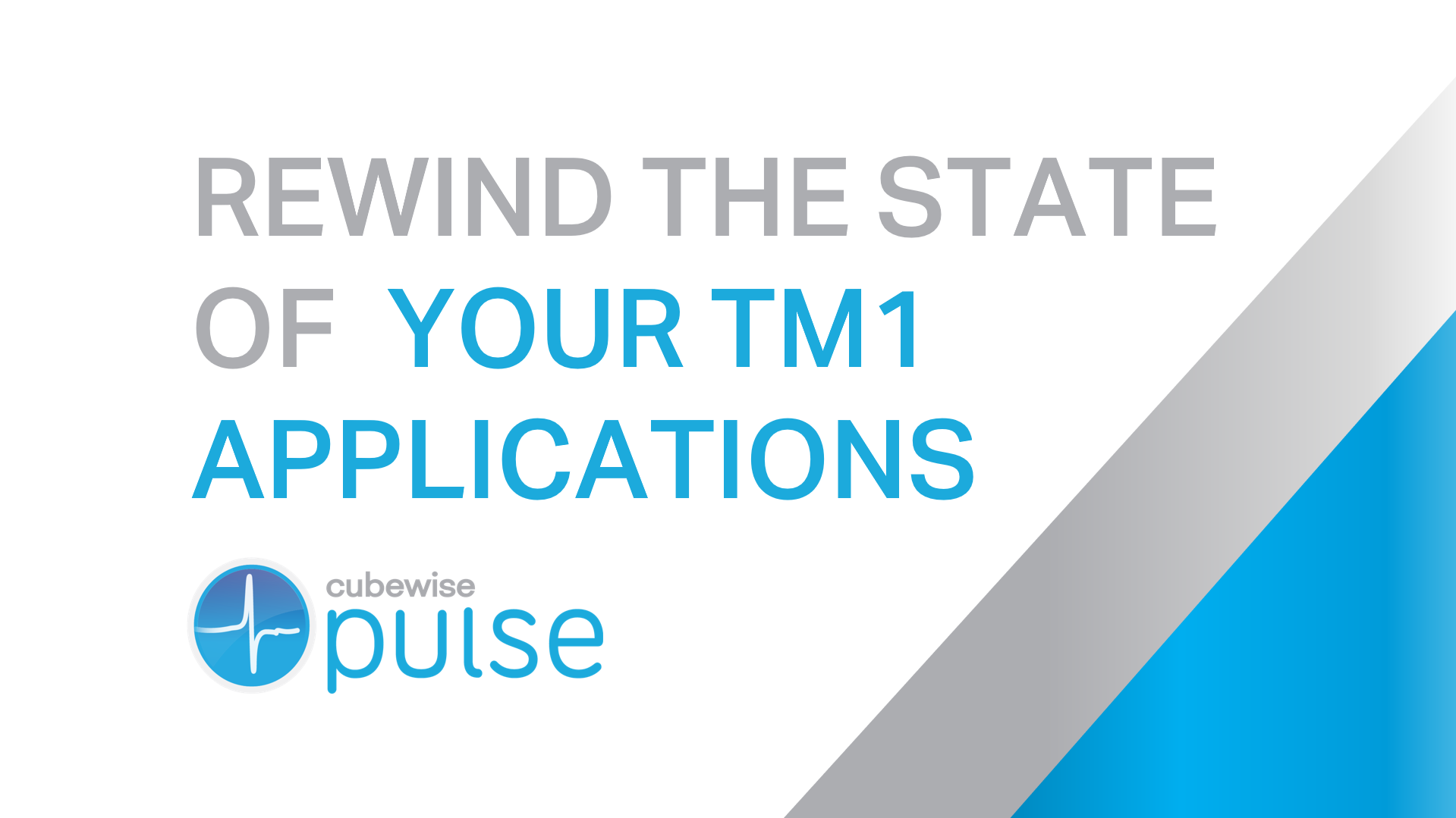 Rewind the State of Your TM1 Applications with Pulse