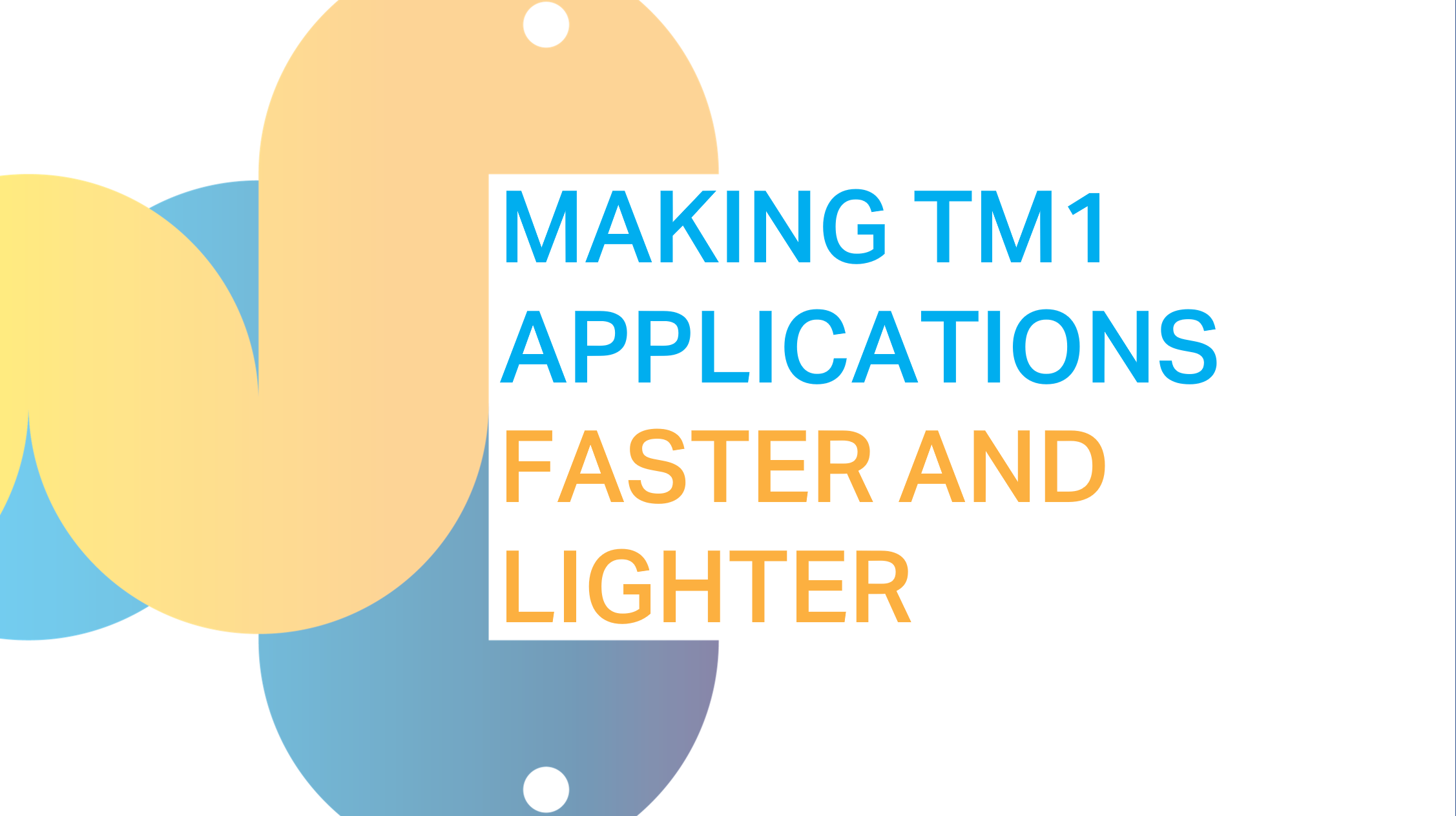 Making TM1 applications faster and lighter