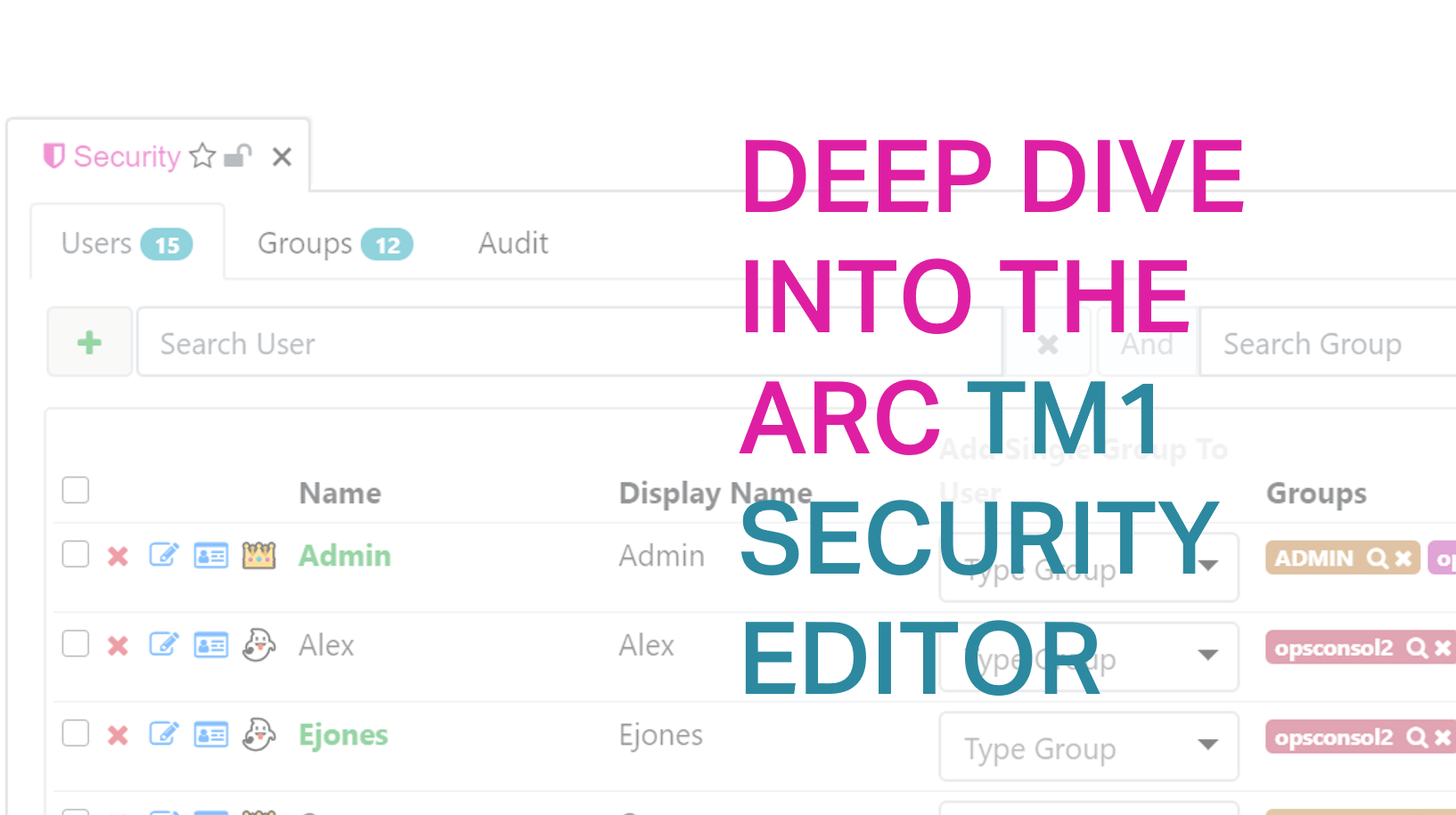 Deep Dive into the Arc TM1 Security Editor